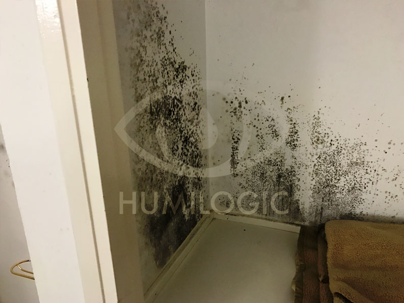 Remove humidities in Malaga